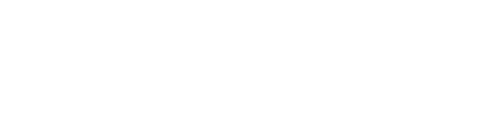 SNEGIS